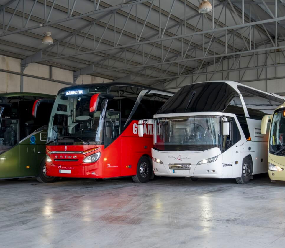 Autobuses de lujo